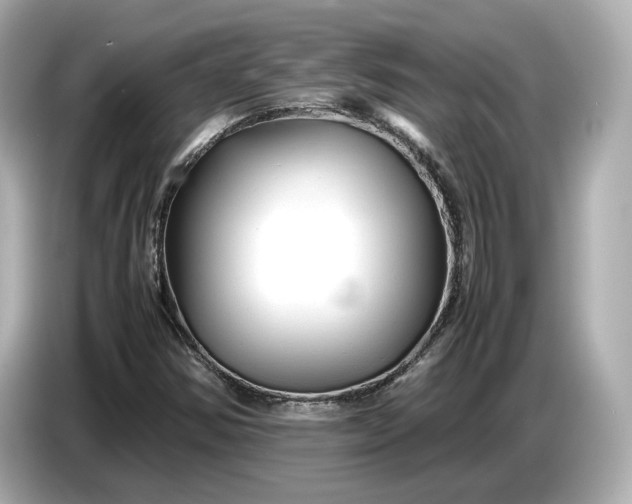 X0000086961354200704301229