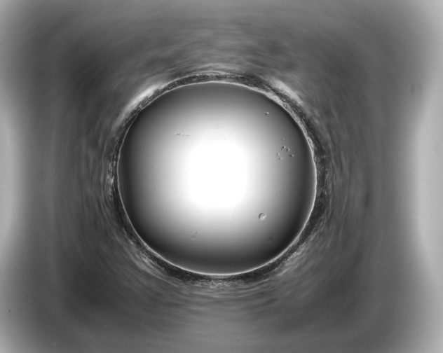 X0000086961355200704301229