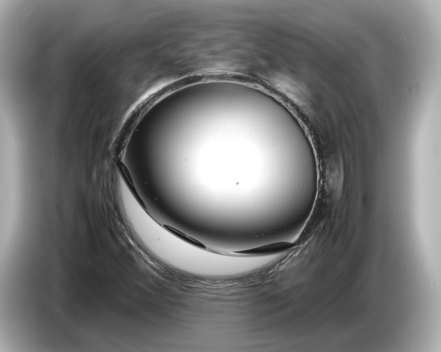 X0000086961356200704301229