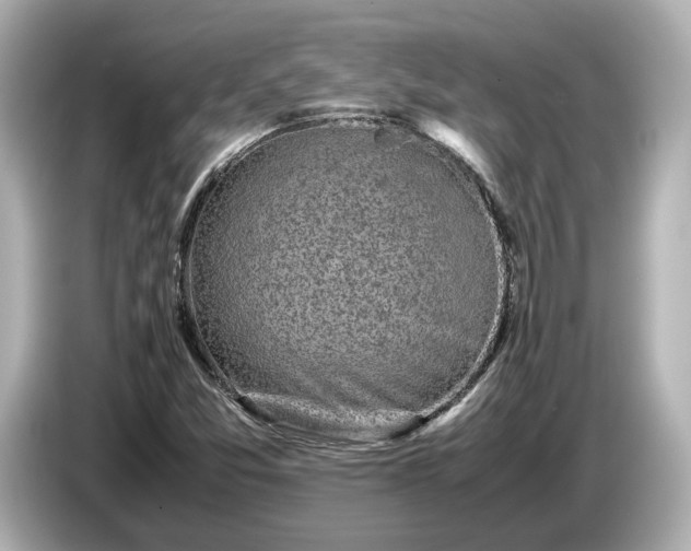 X0000086961357200704301229