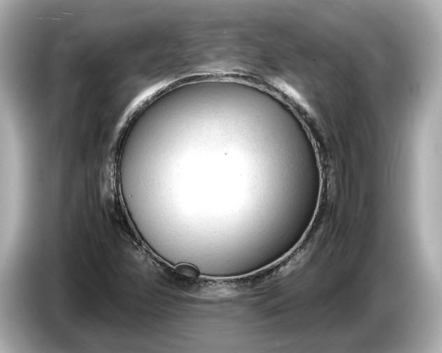 X0000086961358200704301229
