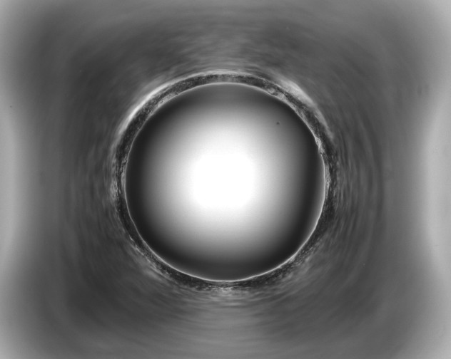 X0000086961360200704301229
