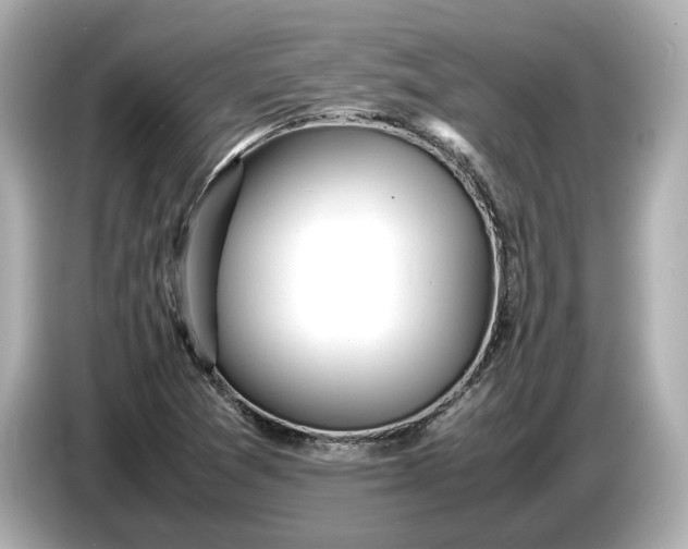 X0000086961361200704301229
