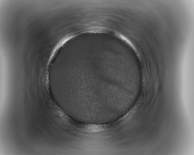 X0000086961362200704301229