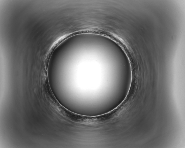 X0000086961363200704301229