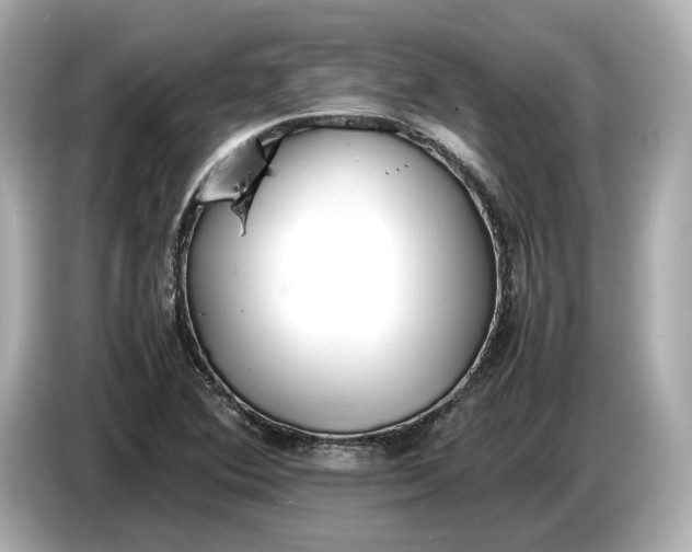 X0000086961364200704301229