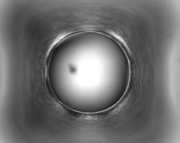 X0000086961365200704301229