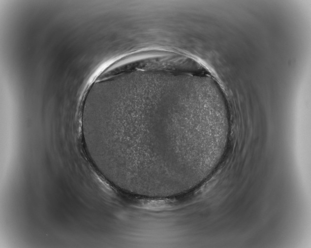 X0000086961367200704301229