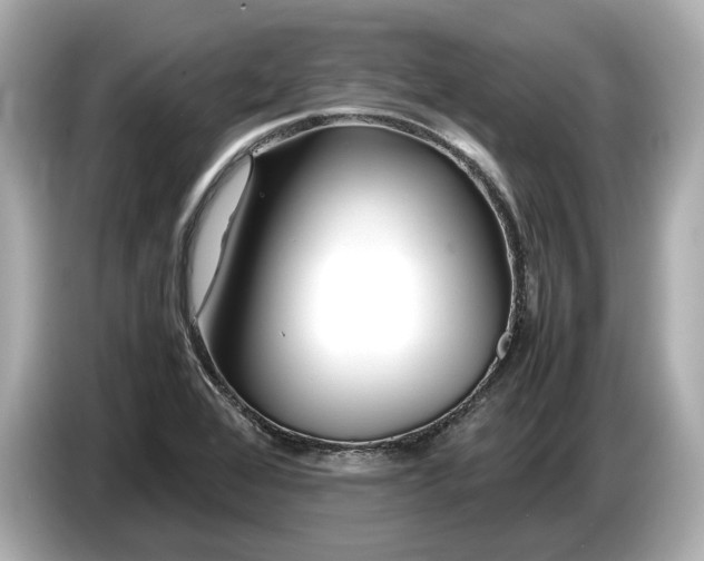 X0000086961368200704301229