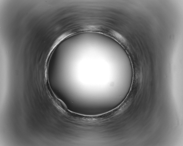 X0000086961370200704301229