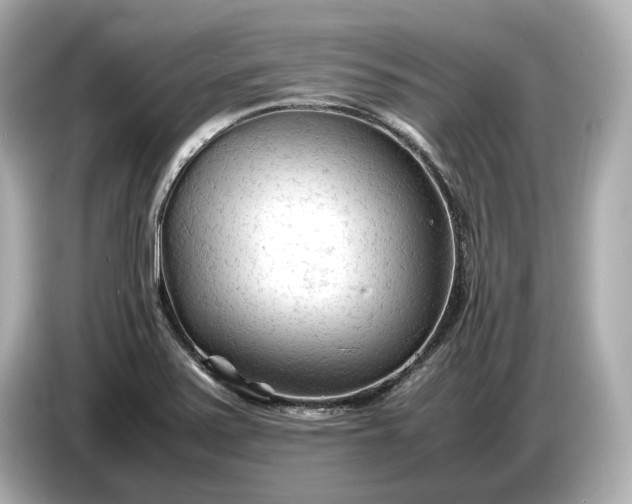 X0000086961371200704301229