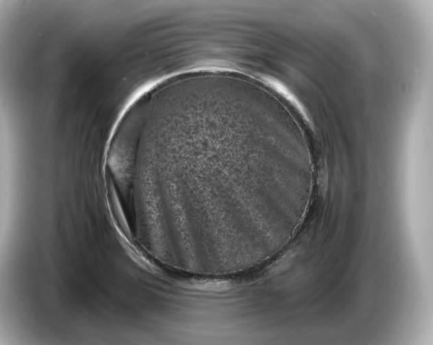 X0000086961372200704301229