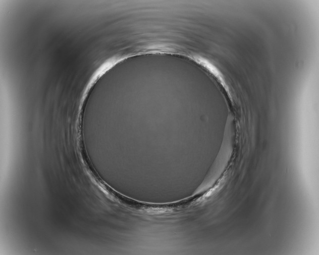 X0000086961373200704301229