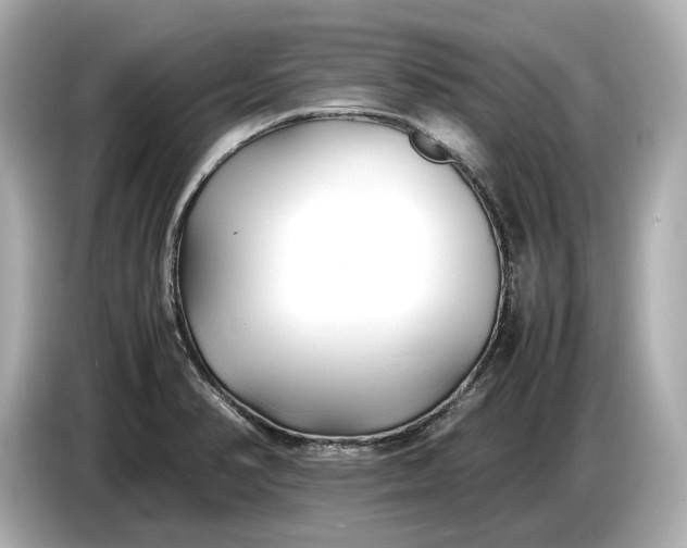 X0000086961374200704301229