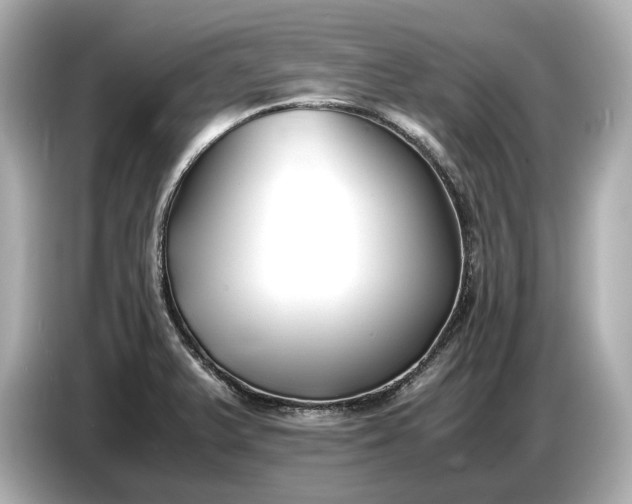 X0000086961375200704301229