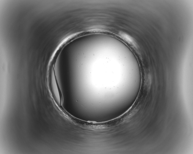X0000086961376200704301229