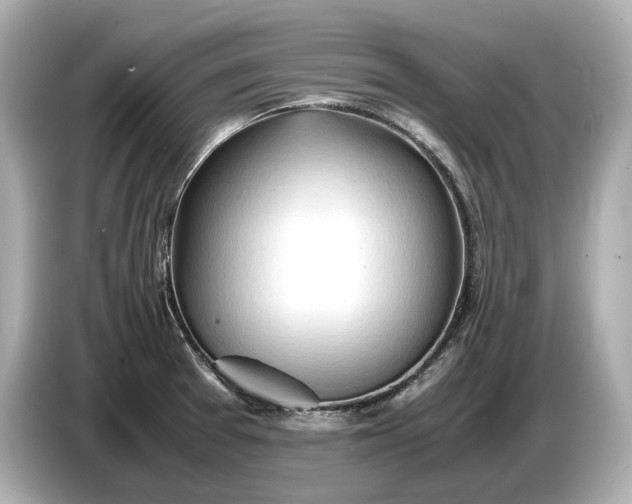 X0000086961377200704301229