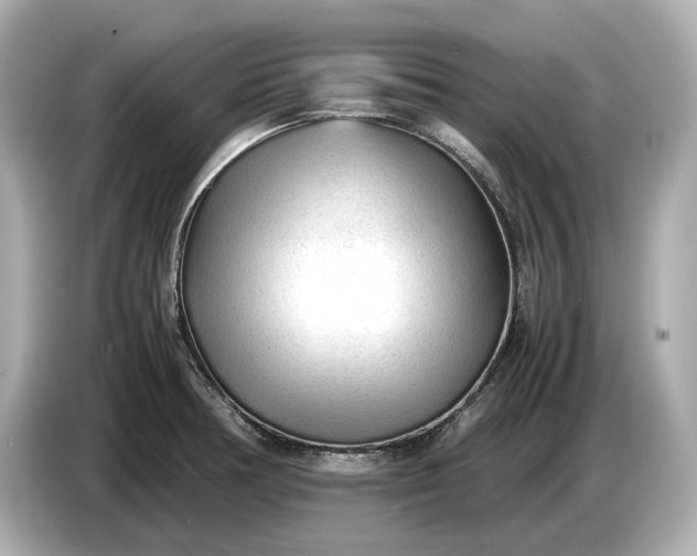 X0000086961378200704301229