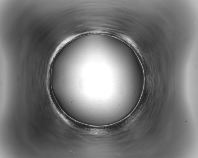 X0000086961379200704301229