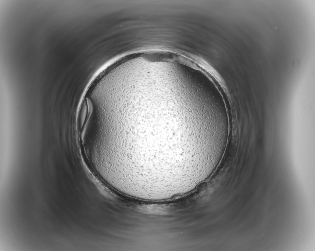 X0000086961380200704301229