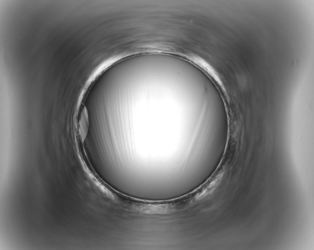 X0000086961381200704301229