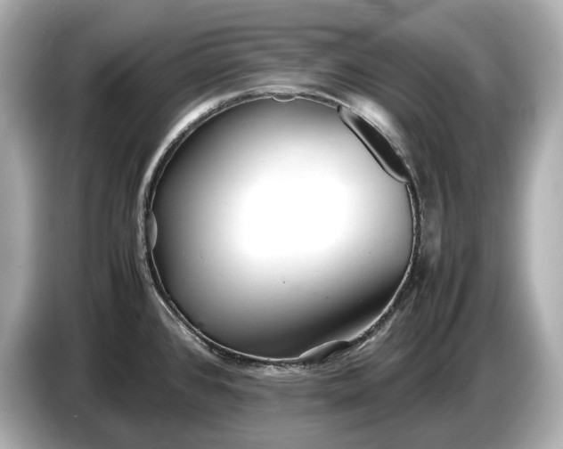 X0000086961384200704301229