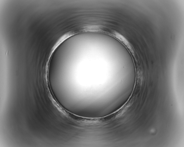 X0000086961386200704301229