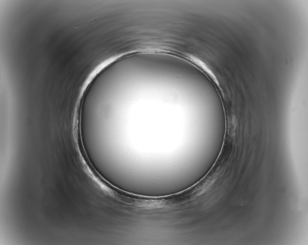 X0000086961387200704301229