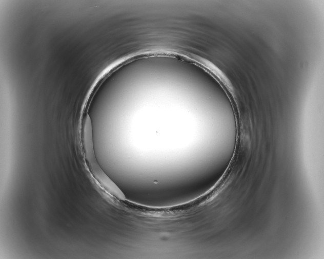 X0000086961388200704301229