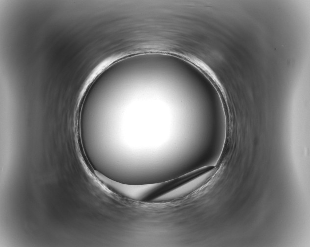 X0000086961389200704301229