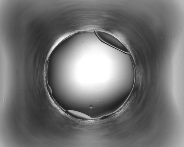 X0000086961390200704301229