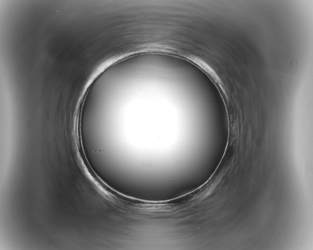 X0000086961391200704301229