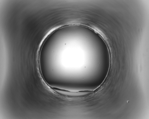 X0000086961392200704301229