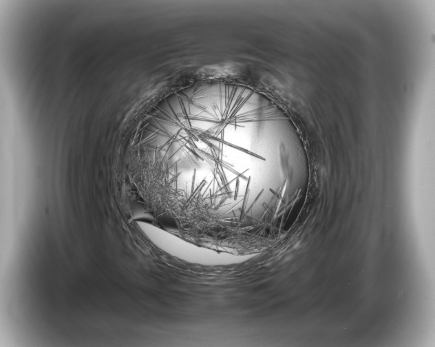 X0000086961393200704301228