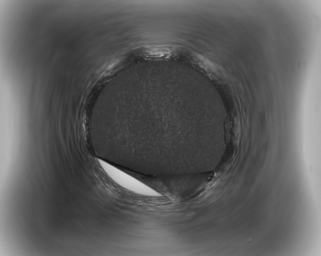 X0000086961394200704301228