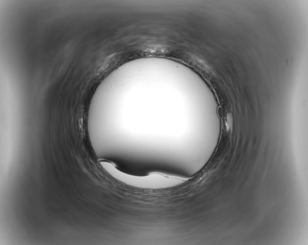 X0000086961396200704301228