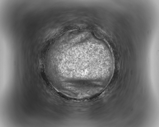 X0000086961397200704301228