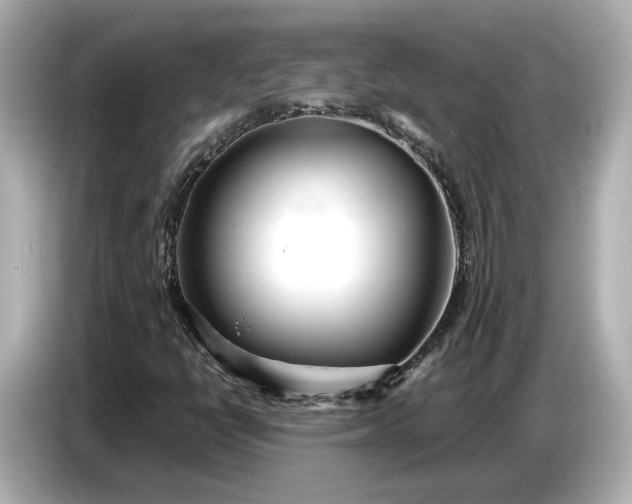 X0000086961398200704301228
