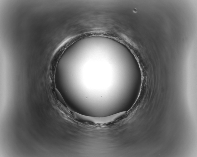 X0000086961400200704301228