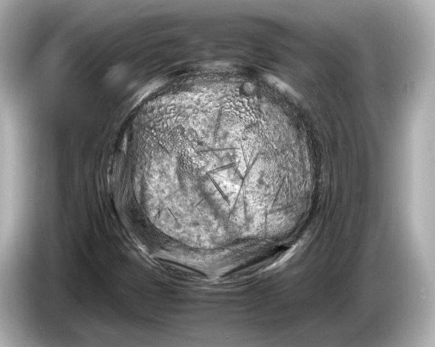 X0000086961401200704301228