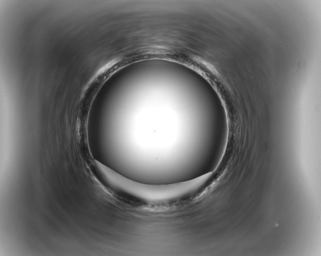 X0000086961402200704301228