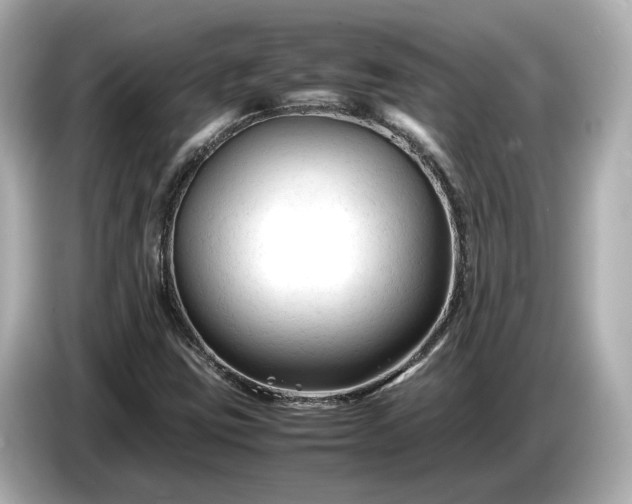 X0000086961403200704301228