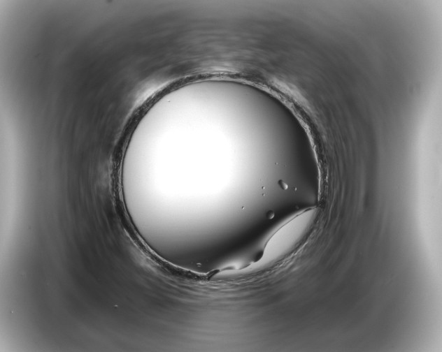 X0000086961404200704301228