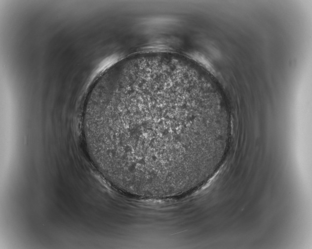 X0000086961405200704301228