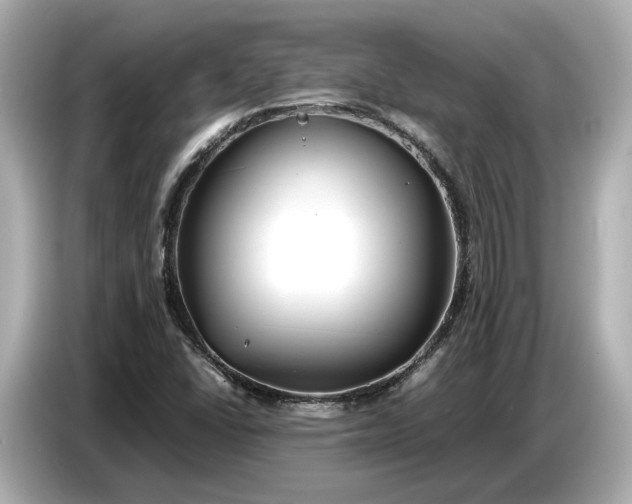X0000086961406200704301228