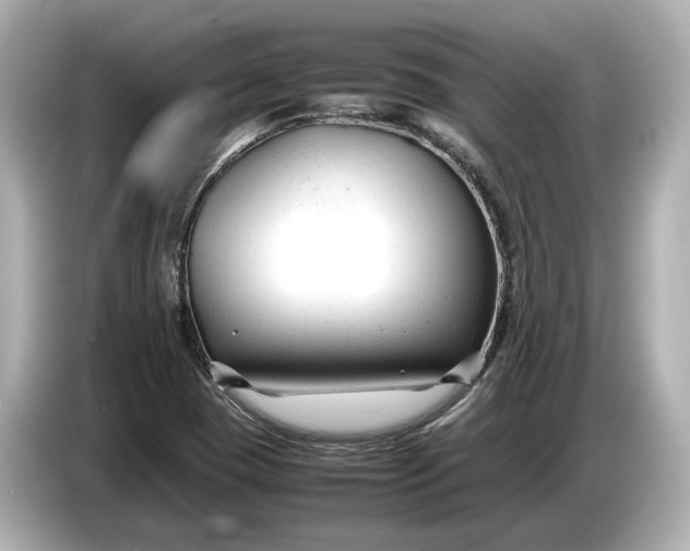 X0000086961409200704301228