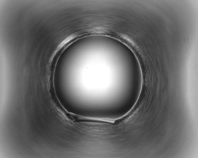 X0000086961410200704301228