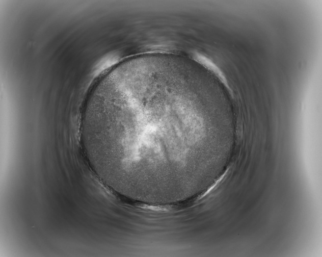 X0000086961411200704301228