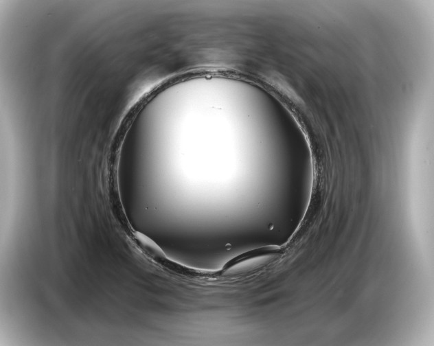 X0000086961412200704301228