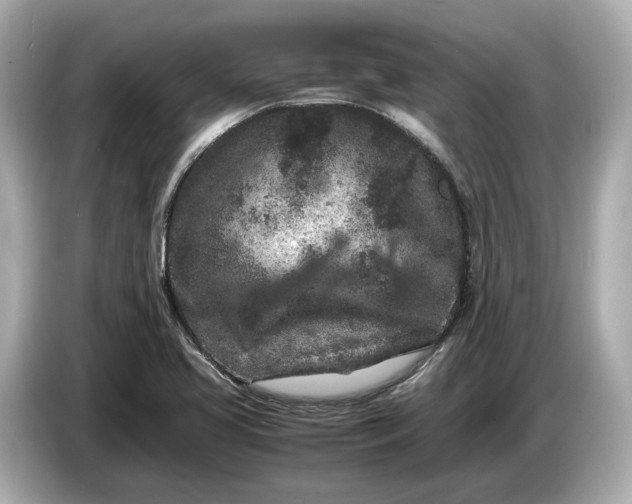 X0000086961413200704301228